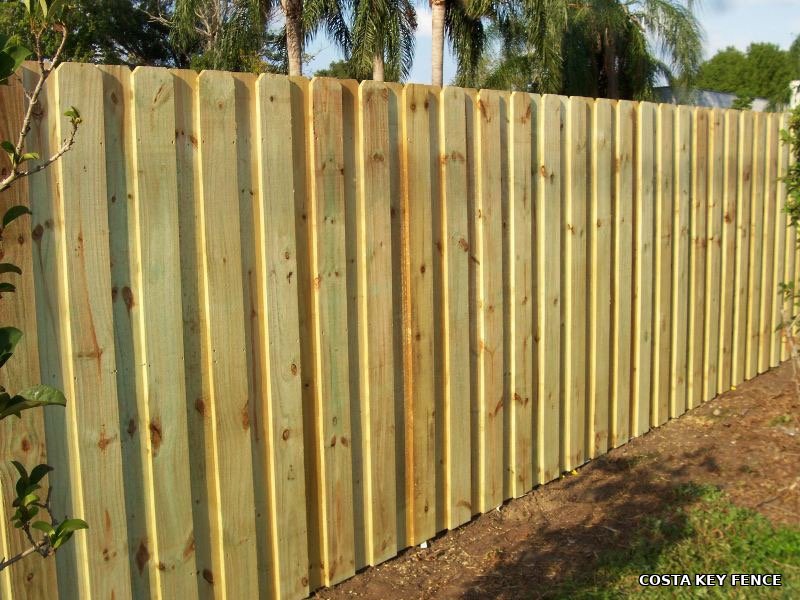 Wood picket privacy fence with palm trees installed by Costa Key Fence near Sarasota, Florida